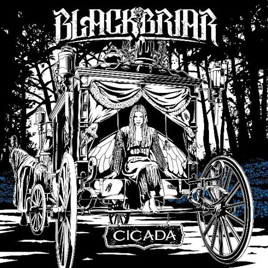 Copertina di Cicada