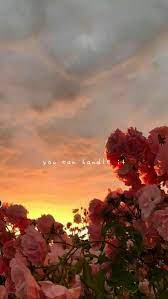 خلفيات ورود roses أزهار زهور flowers عالية الوضوح 184 flowers photography wallpaper flower background wallpaper flower backgrounds