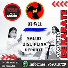 Un poco (demasiado 😅) tardío, pero quería compartir como me fue en los  torneo FEDUP este año. Pude obtener 5 Medallas (1 🥇3🥈1🥉), en Kata  individual, Kata equipos y Kumite individual, representando