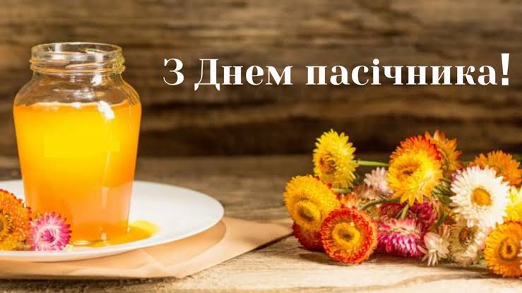 19 серпня – День пасічника - Звягельська міська рада - Офіційний  SMART-портал міста
