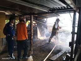 PEMERINTAH ACEH | Berita Rumah dan Usaha Ternak Terbakar Di Aceh Barat