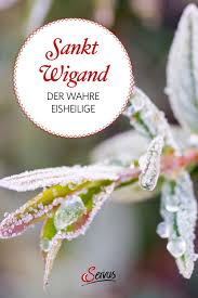 Pin Auf Gruppenboard Garten Pflanzen
