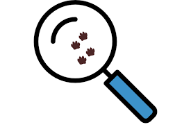 Check spelling or type a new query. Foxes In Garden What You Need To Know Fantastic Gardeners Blog