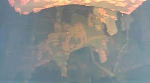 Kebocoran dari tiga reaktor mengontaminasi makanan. 4 Warisan Mengerikan Dari Bencana Nuklir Fukushima Global Liputan6 Com