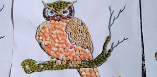 Gambar Kolase Burung Hantu Burung Ornamen Natal Burung Hantu