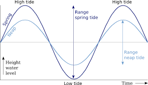 58 particular high and low tides chart