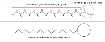 Sabun Molekulu Sabunlar Urunler