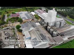 Tong seh industries supply sdn. Teo Seng Feedmill The First Largest Egg Producers To Go Solar Youtube