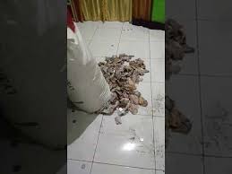 Sembunyikan kabel yang ada di kamar. Uang Banyak Satu Karung Youtube