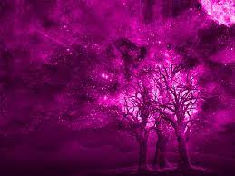 Find and download cool pink wallpapers wallpapers, total 39 desktop background. Cool Pink Wallpapers Top Free Cool Pink Backgrounds Wallpaperaccess