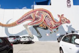 Anatomy Of A Kangaroo By Nychos On Easey St Collingwood Streetart Melbourne Australian Art Art Online Art