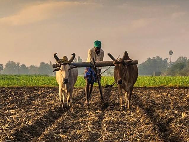 Chhattisgarh Kisan Bima Yojana Central Government Application will be done till 31st July Chhattisgarh Government