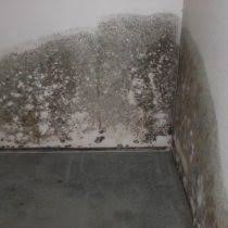 Use this basement odor eliminator with the dynamite duo of vinegar and baking soda whenever you notice an unpleasant smell or if water is draining too slowly in sinks, showers, or the toilet. Removing The Smell Of Mold And Mildew In The Basement