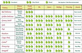 chart of apples and uses bing images apple varieties