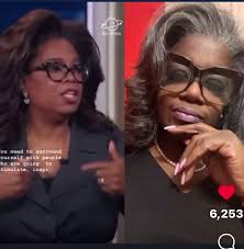 Oprah’s look alike, yay or nay? ##oprah #oprahwinfrey #oprahinterview  #grayhair #fyp #reels #shaderoom #dr #education #sister