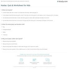 Think you know a lot about halloween? Koalas Quiz Worksheet For Kids Study Com