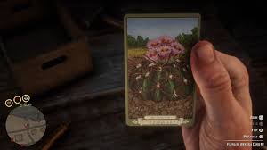 In hottest summer areas during give enough water to soak the upper several inches of soil. Horse Crippler Cactus Red Dead Redemption 2 Wiki Guide Ign