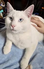 This Beautiful Picture has stolen my Heart ❤️