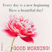 Check spelling or type a new query. 100 Good Morning Flowers In 2021 Ideas Mk Wishes