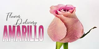 Things to do in amarillo, tx. The 8 Best Options For Flower Delivery In Amarillo 2021