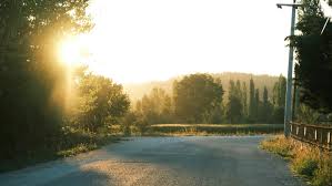 Peaceful Rural Road at Sunrise with Trees · Free Stock Photo
