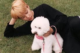 8 Hewan Peliharaan Member Bts Yang Populer Dan Jadi Kesayangan Army