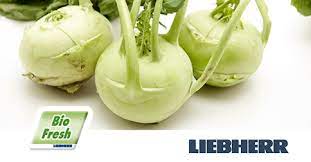 Има големи, продълговати тъмнозелени листа. Alabash Tipichniya Nemski Zelenchuk