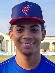 Federazione Italiana Baseball Softball