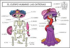 Vocabulario: El cuerpo humano - Las catrinas | Vocabulaire espagnol, Langue  espagnole, Enseigner l'espagnol