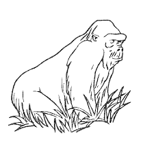 Old world monkeys and apes are called catarrhines and live in asia, africa, and europe. Ape Coloring Pages Best Coloring Pages For Kids