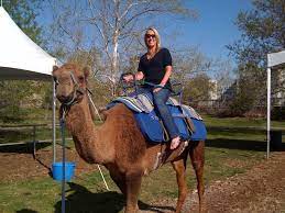 Purchase tickets at camel area. April 2010 Positive Woman Connection