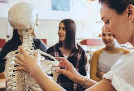 The ribs are the bony framework of the thoracic cavity. How Many Ribs Does A Man Have