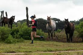 Don Fairley Race Results