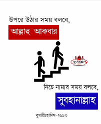 Profile for Abu Taw Haa Muhammad Adnan Supporters