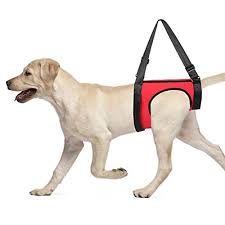 Fare una passeggiata con un cane troppo esuberante che tira il guinzaglio come un forsennato, non è propriamente rilassante, anzi può diventare un'esperienza molto impegnativa. Miglior Sostegno Posteriore Aggiornato 2021 Recensioni E Classifica