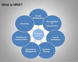Human resource professionals utilize these systems to facilitate work flow, improve efficiency and store and collect information. 6 Components Of Human Resource Information Systems Hris Human Resources Human Resource Management System Human Resources Quotes