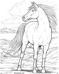 Free breyer horse coloring pages. Realistic Breyer Horse Coloring Pages Novocom Top