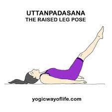 Pin On Yoga Asana