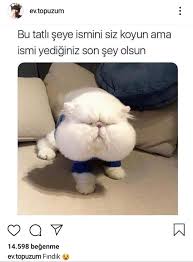 Cay Yaa Sjjsjs 2020 Mizah Selaleler Koylar