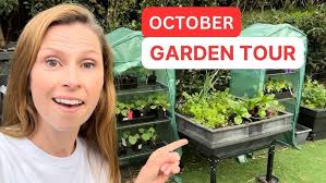 MID WINTER FULL VEGGIE GARDEN TOUR