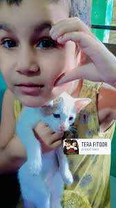 🅰🅽🆆🅰🆁 🅷🅾🆂🆂🅰🅸🅽