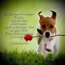Lustige geburtstagssprüche, witzige und schöne sprüche zum geburtstag zum gratulieren und für nimm einen der geburtstagswünsche für deine gratulation oder dichte ihn nach deinen. Geburtstagswunsche Lustig Gb Bilder Gb Pics Gastebuchbilder Lustige Geburtstagswunsche Lustige Geburtstagsspruche Verse Zum Geburtstag