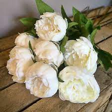 12'' tall burgundy artificial peony silk flowers bouquet. Bunch Of 7 Faux Silk Ivory Peonies Cream Off White Artificial Silk Flowers Ebay