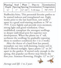 Image result for Renealmia susanneae-katziae