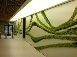 Moss Feature Wall Green Wall Design Garden Wall Designs Moss Wall