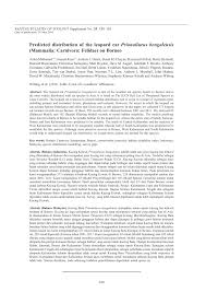 Neofelis nebulosa, found on the mainland of southeastern asia Pdf Predicted Distribution Of The Leopard Cat Prionailurus Bengalensis Mammalia Carnivora Felidae On Borneo