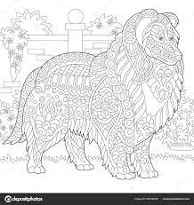 Dan ben je hier aan het goede. Kleurplaat Volwassenen Hond