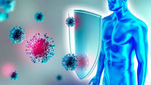 Immune System - Function, Conditions and Disorders