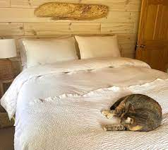 Seattle is home to many great colleges and universities. Bedrooms More Bedroomsandmore Twitter