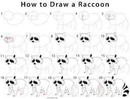 How To Draw A Raccoon Step By Step Pictures Cool2bkids Raccoon Drawing Drawings Cute Doodle Art